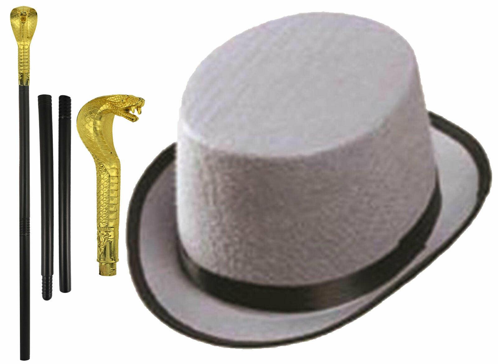 Kids Grey Top Hat with Gold Snake Cane Stick Victorian Boy Fancy Dress Set - Labreeze