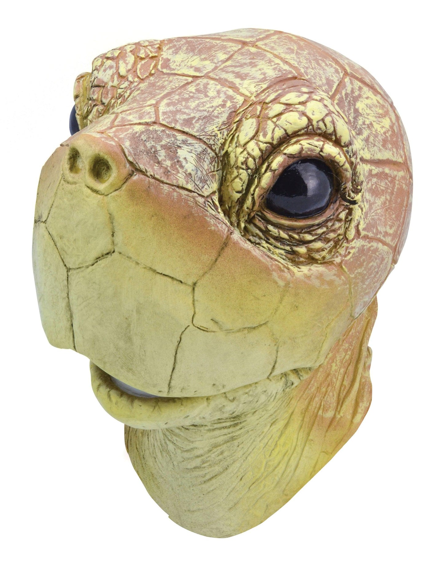 Turtle Mask - Labreeze